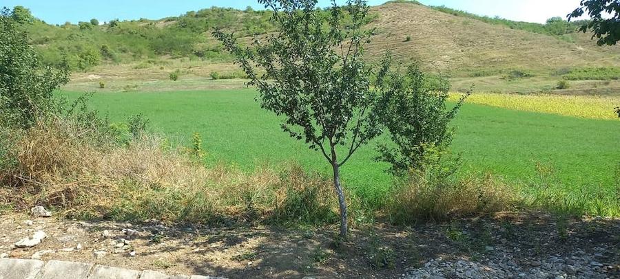 Teren de 5500 mp, în Central
