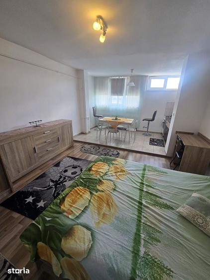 Apartament 1 camera strada Bucegi Cartierul Mana?tur - 3