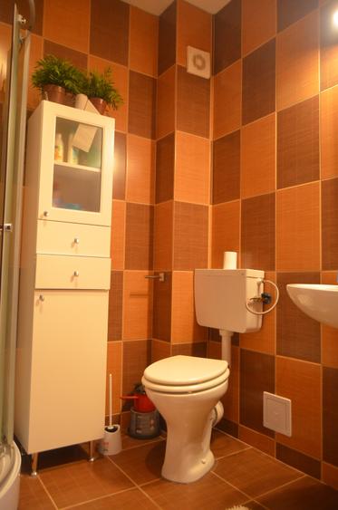 Apartament cu 3 camere decomandat, mobilat în Bușteni
