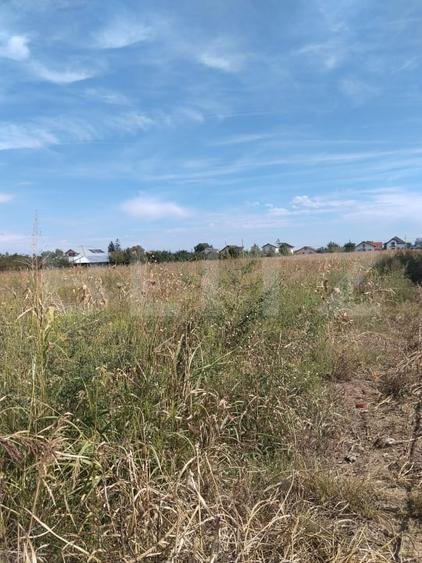 Teren Construcții intravilan de 5400 mp, în Matraca