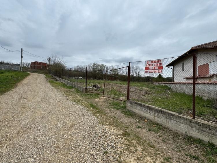 Spațiu comercial, în Paleu