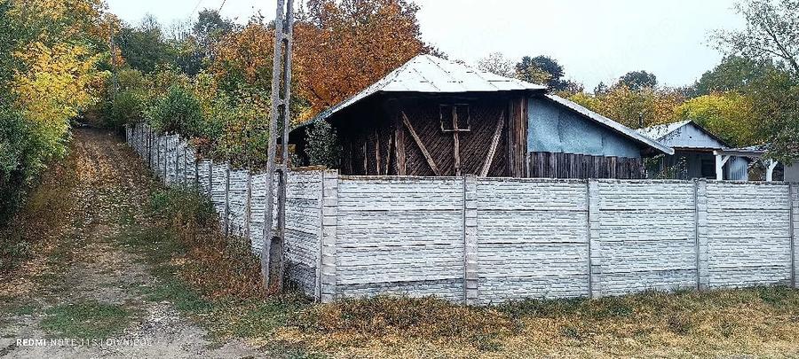 Casă cu Teren 4650 Mp în Vârvor