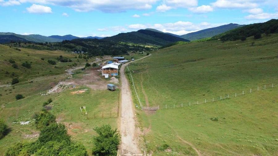 Ferma zootehnica / stana pentru oi si vaci teren 10.000 mp - Maneciu-Pamanteni - 3