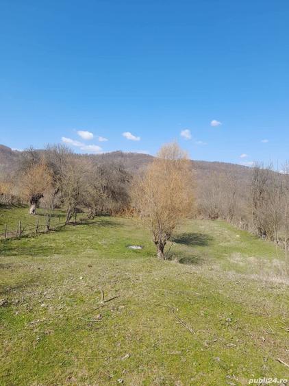 Teren de 2650 mp, în Malurile