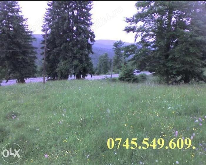 Teren de 5000 mp, în Moroeni