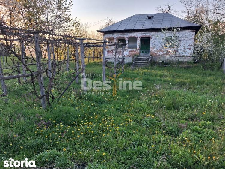 Casa batraneasca cu teren 1150 mp, vie si livada ?erbanesti, Paus - 3