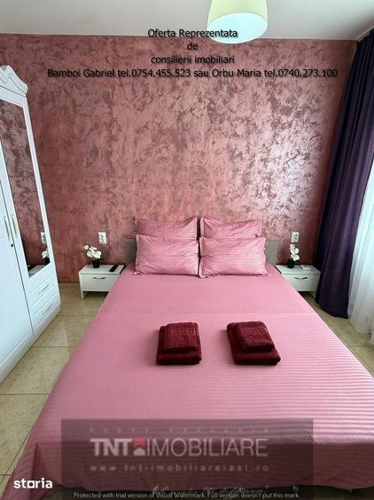 Apartament cu 2 camere în Podu Roș