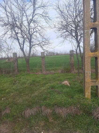 Teren de 3700 mp, în Obad