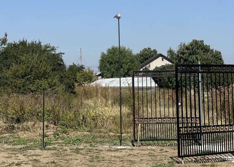 Teren de 975 mp, în Copăceni