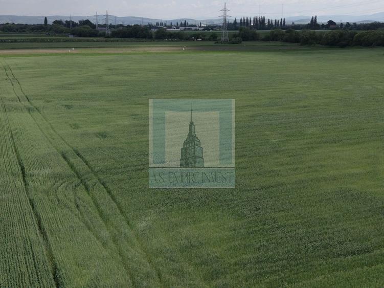 Teren Construcții intravilan de 50000 mp, în Hălchiu