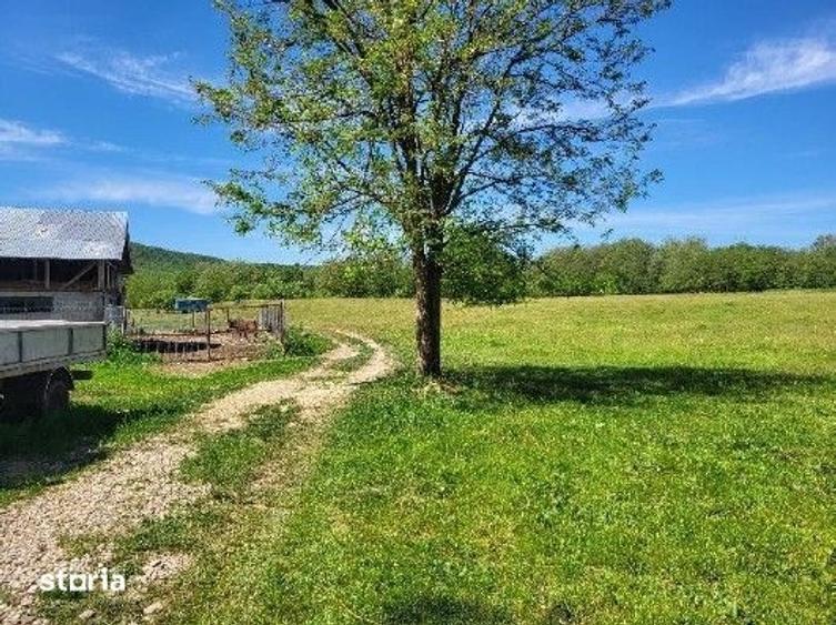 Teren de 1743 mp, în Tisău