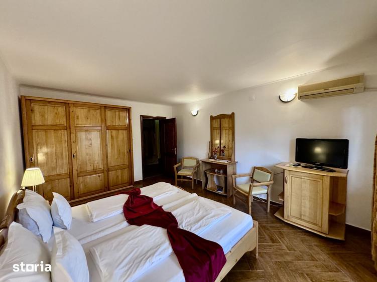 Casă cu Teren 6000 Mp în Nufăru