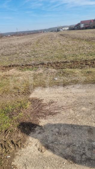 Teren Construcții intravilan de 2240 mp, în Lipănești