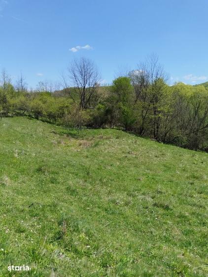 Teren de 7795 mp, în Golești