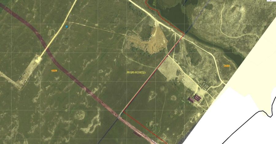 Teren agricol extravilan de 10000 mp, în Vadu