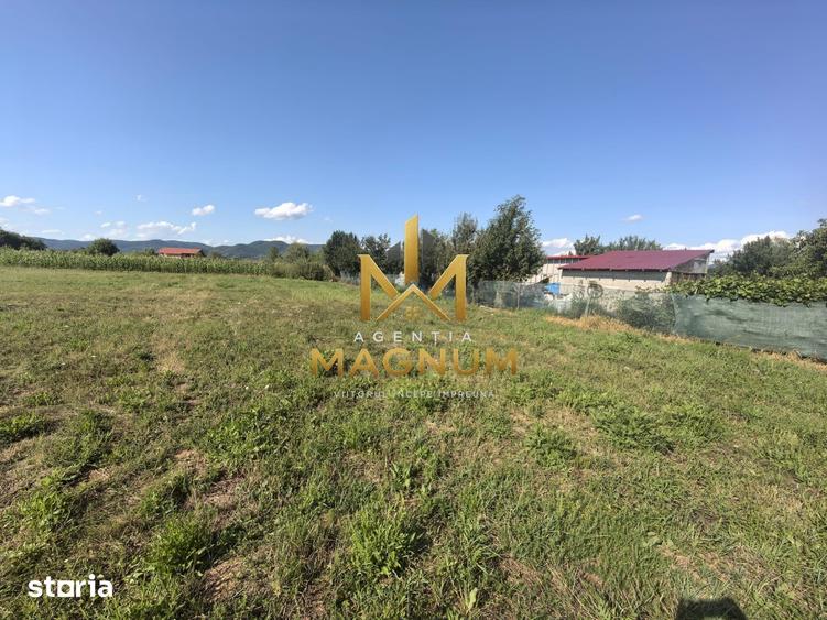 Teren de 600 mp, în Tăuții-Măgherăuș