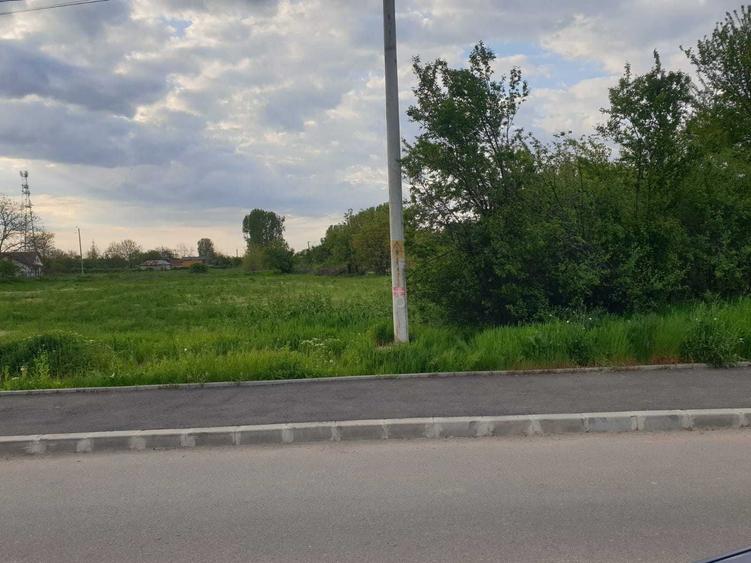 Spațiu comercial, în Pictor Rosenthal