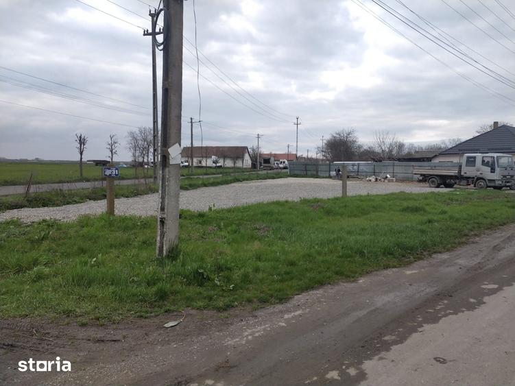 Teren de 550 mp, în Pecica