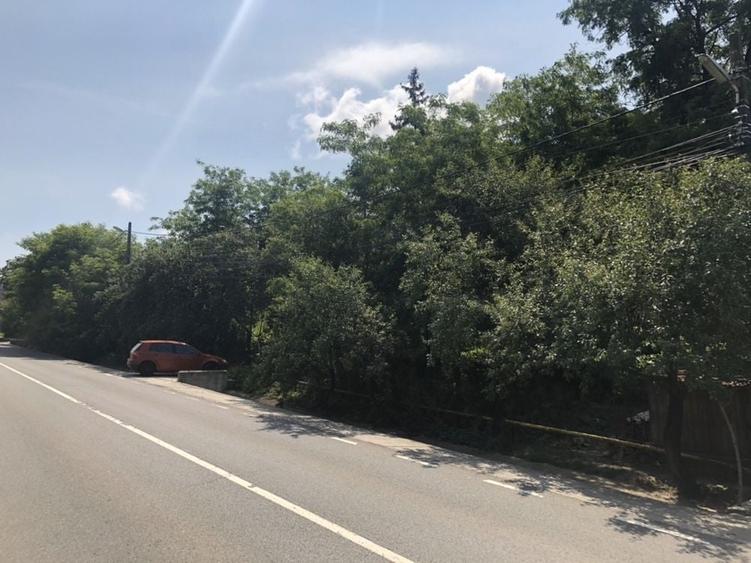 Teren de 1200 mp, în Crișeni