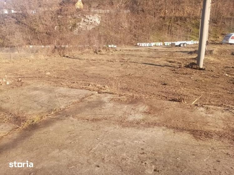 Teren de 7432 mp, în Sebeșel