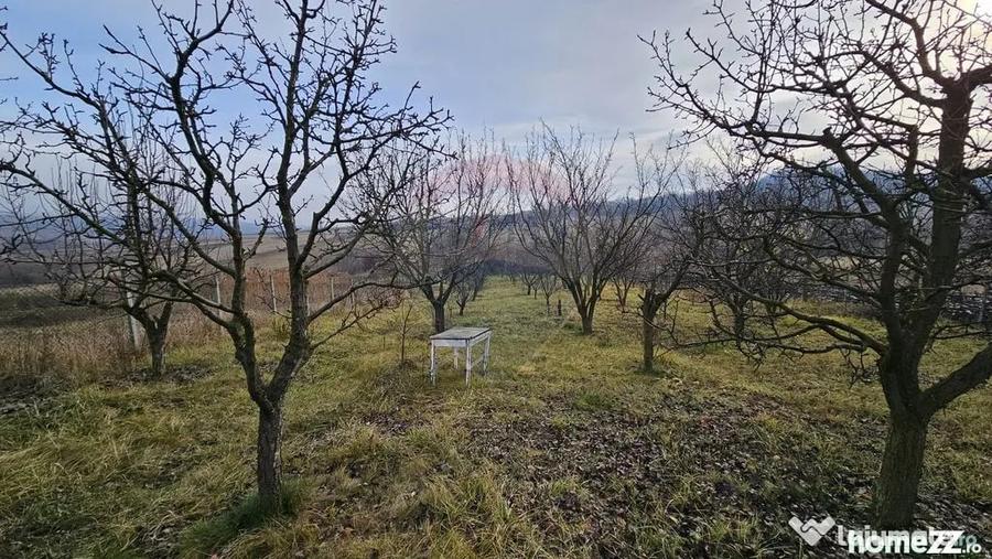 Teren de 10791 mp, în Fălticeni