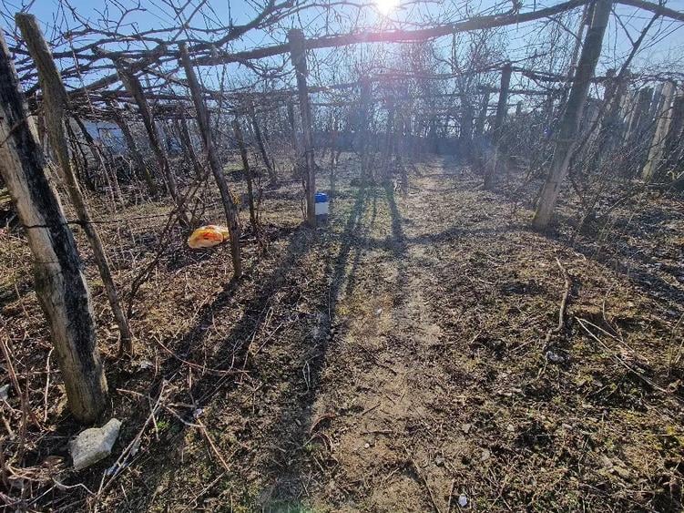 Casă cu 3 camere cu Teren 1500 Mp în Bala
