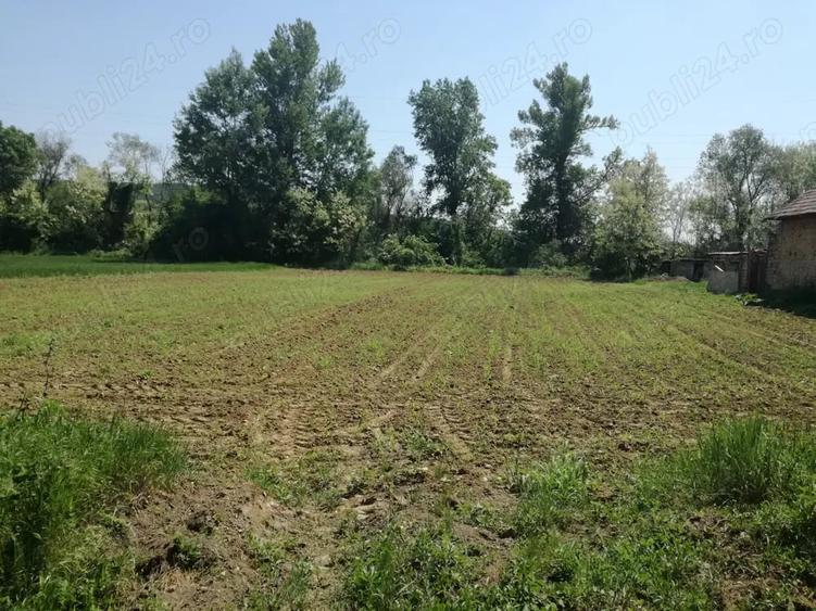 Teren de 5390 mp, în Vladimir