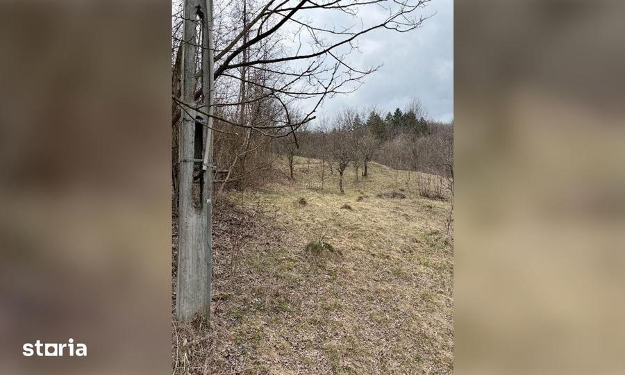 Teren de 3300 mp, în Sălătrucel