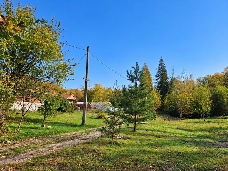Teren Construcții intravilan de 5057 mp, în Milcoiu
