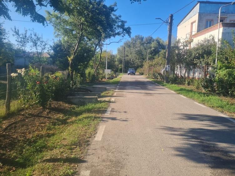 Spațiu comercial, în Pardina