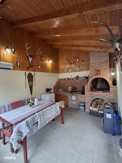 Casa Rustica intr-o zona superba Dambul Morii - 12