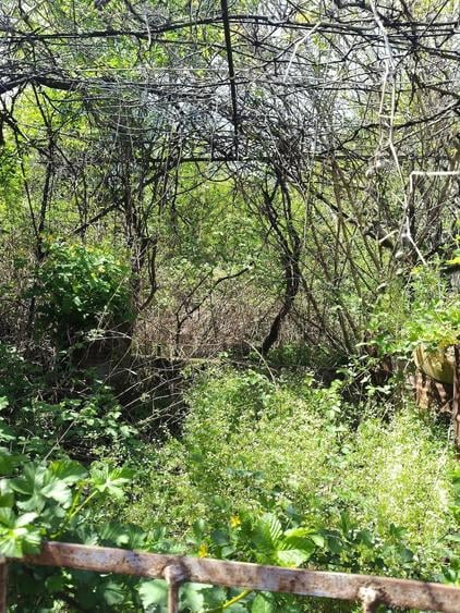 Casă cu 3 camere cu Teren 1000 Mp în Nord