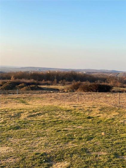 RECO Teren intravilan in Saldabagiu De Munte 2000mp - 6