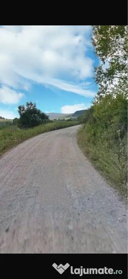 Teren de 28000 mp, în Șoarș