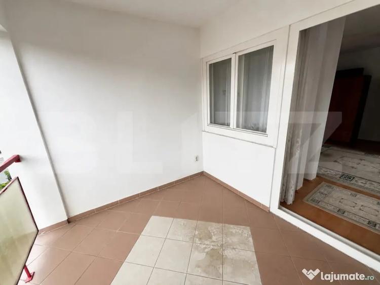 Casa individuala zona excelenta, Dambu Rotund, 307 mp curte - 12