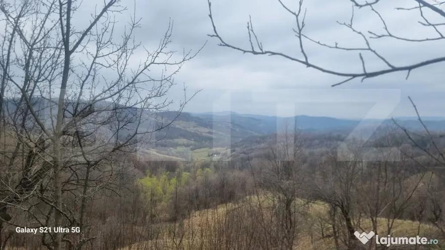 Teren în Schiulești