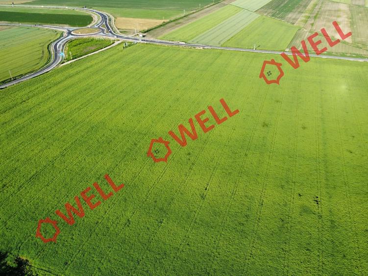 Teren agricol extravilan de 45000 mp, în Chichiș
