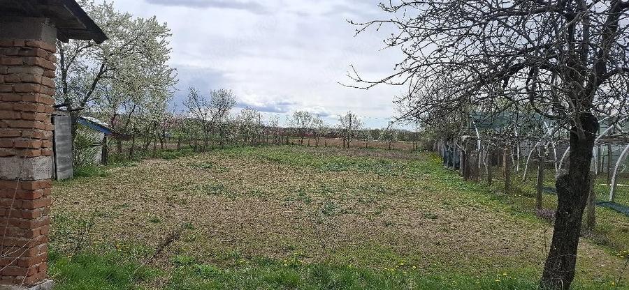 Casă cu 3 camere cu Teren 1000 Mp în Bratia din Deal