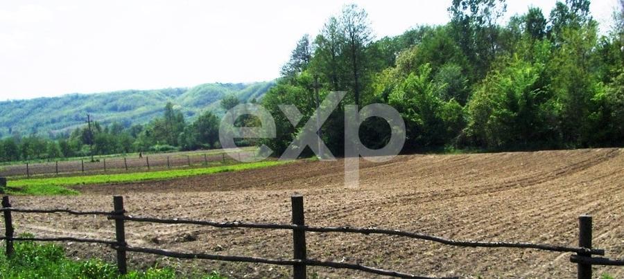 Teren Construcții intravilan de 21000 mp, în Bogați