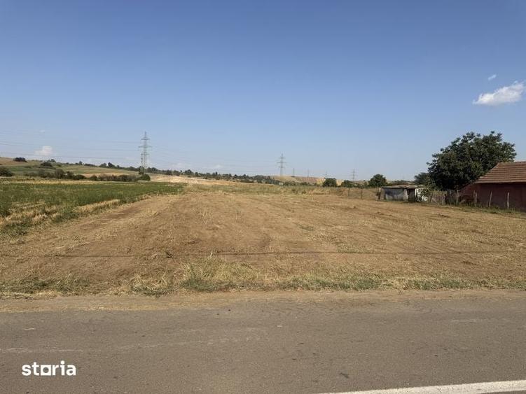 Teren Intravilan 764 Mp - Asfalt - Dudovicesti - Simnicul de sus - 2