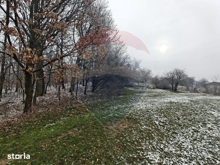 Teren de 5700 mp, în Central