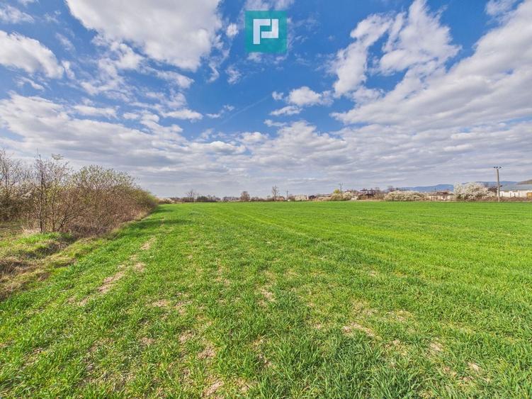 Teren agricol extravilan de 10000 mp, în Sud-Est