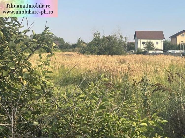 Teren Construcții intravilan de 2900 mp, în Blejoi