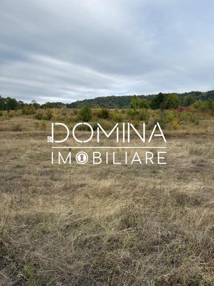 Teren Construcții intravilan de 13000 mp, în Runcu