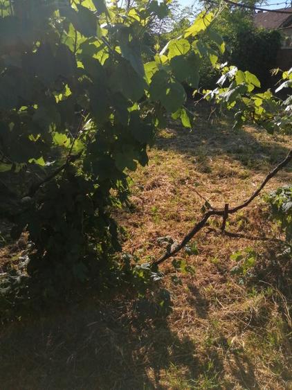 De vânzare teren intravilan cu o casă demolabilă  - 7