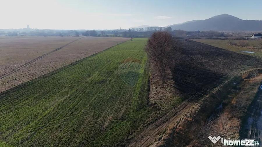 Teren în Hărman