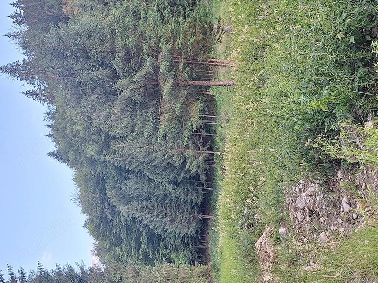 Teren de vanzare in zona de munte - 1
