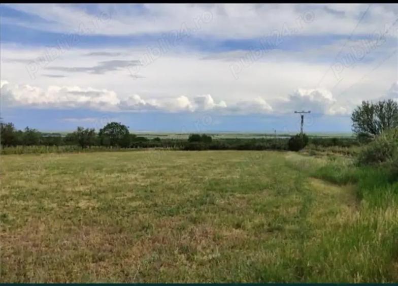 Teren de 6600 mp, în Pietroasele