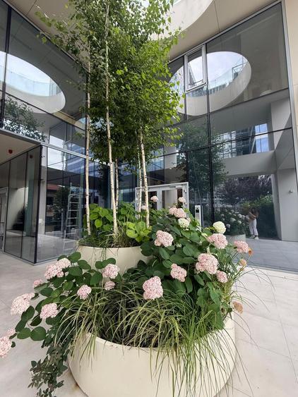 Apartament cu 3 camere decomandat în Aviației