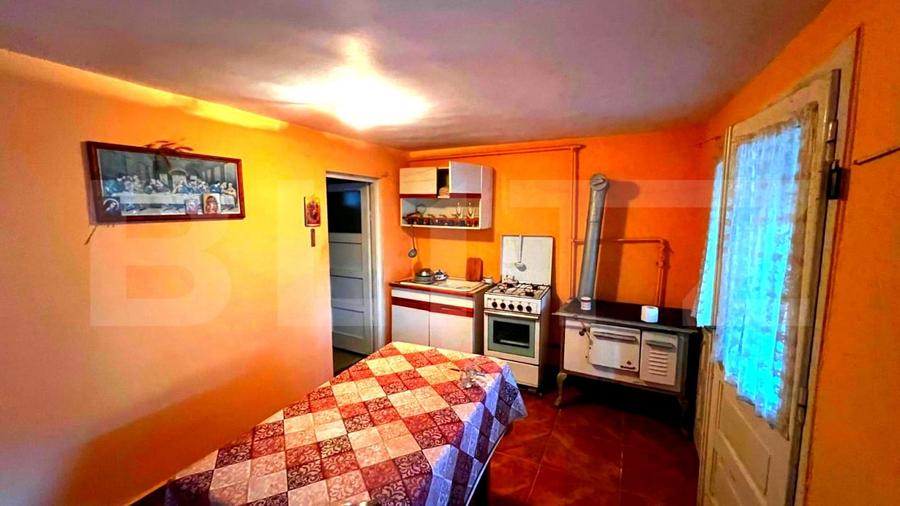 Casă individuală cu 5 camere cu Teren 1950 Mp în Blaj